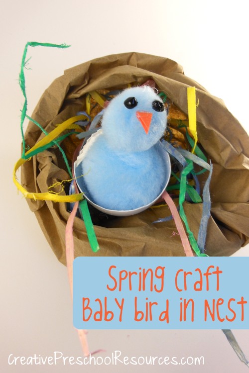 spring bird final
